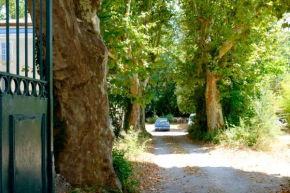 L`Orée De La Lironde